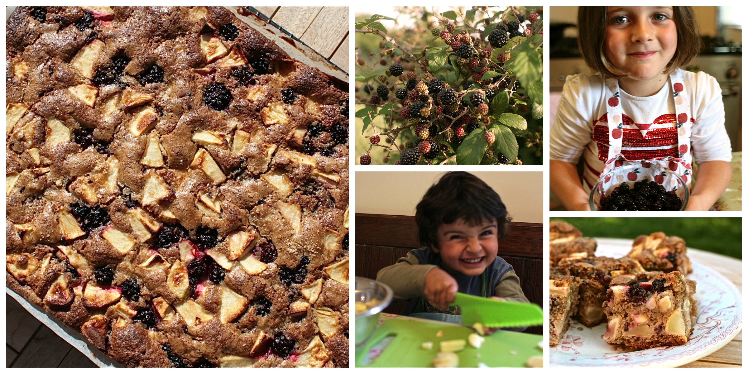 Blackberry & Apple Cake Collage