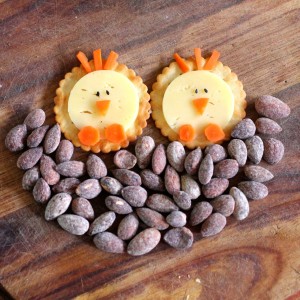 easter chick crackers-2