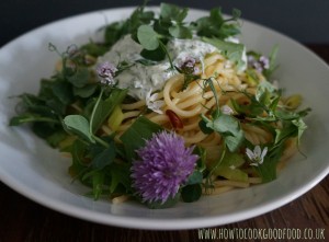spaghetti-herbs-landscape-1024x755