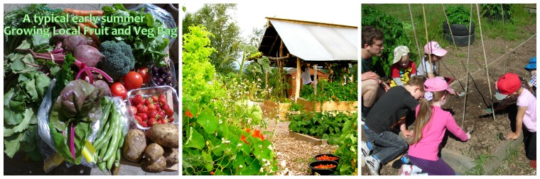 Growing Local Collage